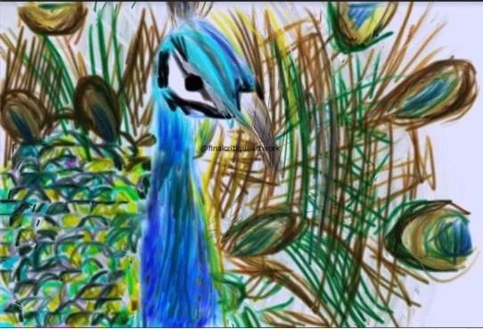 39. Peacock.JPG
