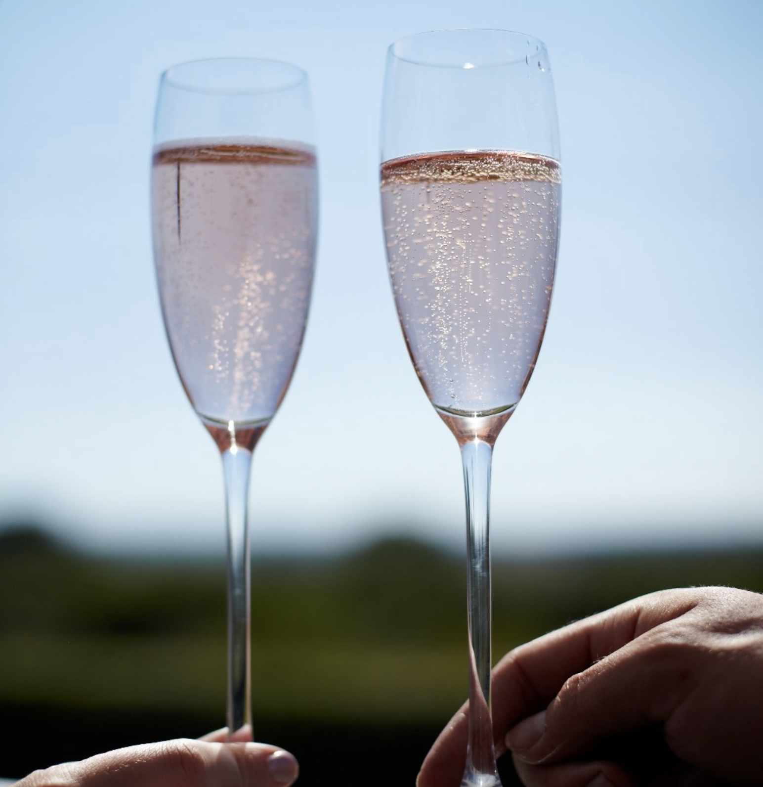 Screen Shot 2020-06-05 at 2.47.01 PM.png