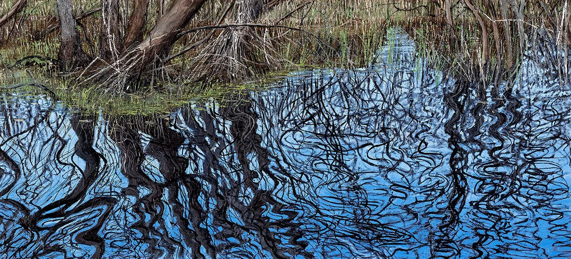    Disintegration Study, Okefenokee Swamp, GA   Oil on Panel / 10 x 22 inches  
