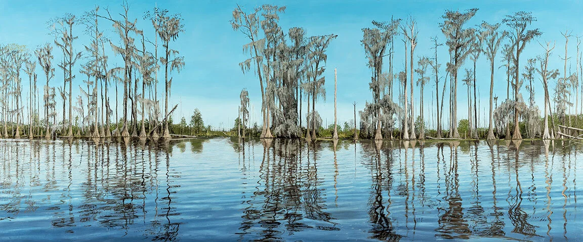    Just Far Enough   Okefenokee Swamp, GA / 35 x 81 inches 