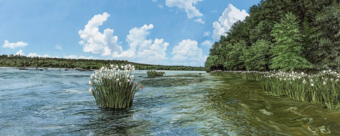    The Significance of Rushing Water   Oil on Panel / 24 x 60 inches 