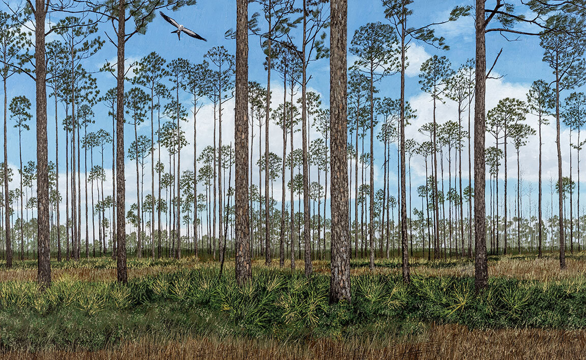    Flatwoods, Steven Foster State Park, FL   Oil on Panel / 34 x 55 inches  