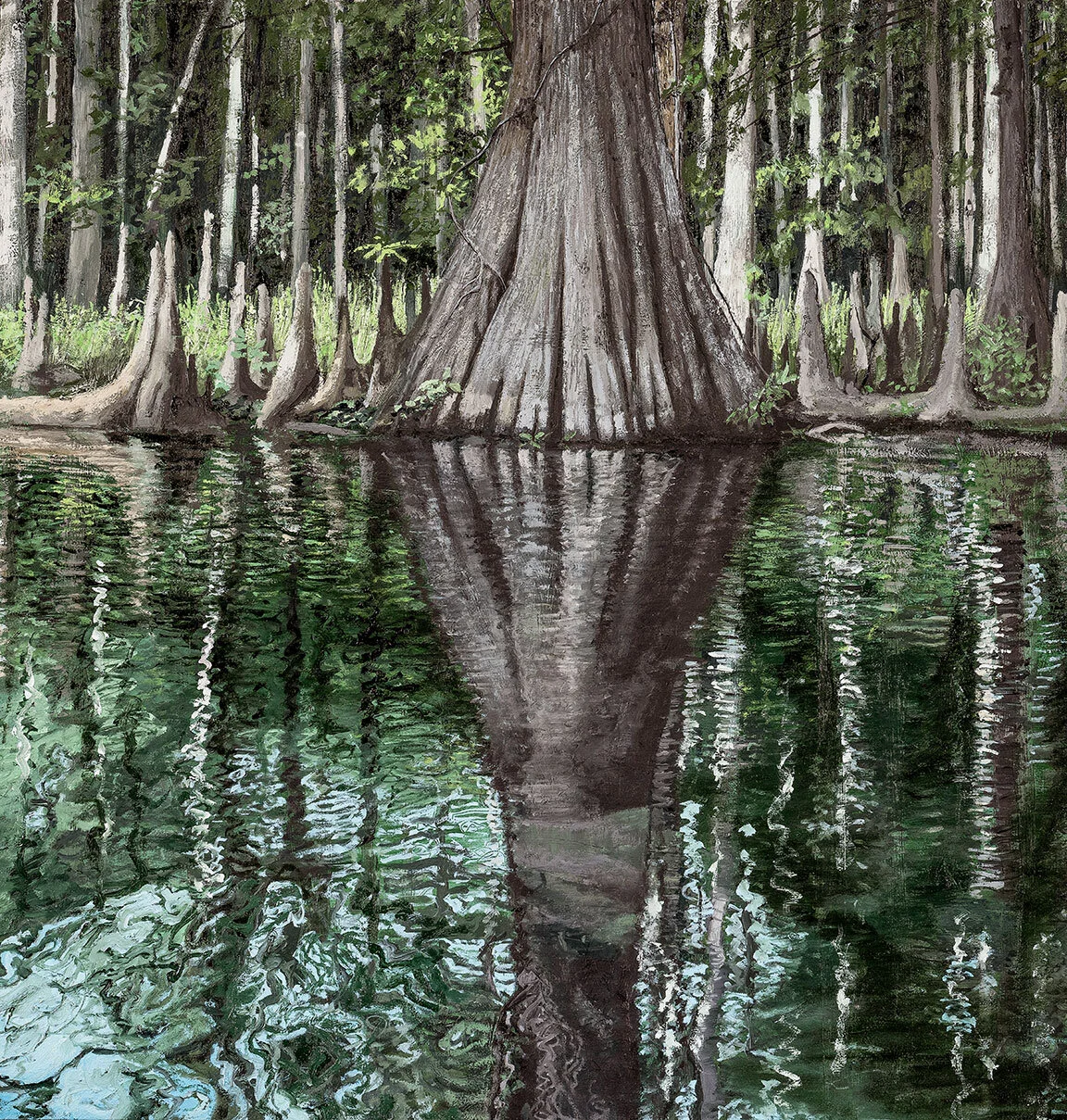    Outlier, Ichetucknee River, FL   Oil on Panel / 17.5 x18 inches  