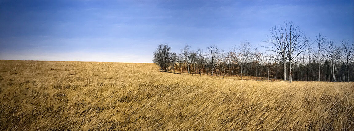 MissouriPrairies_0021.jpg