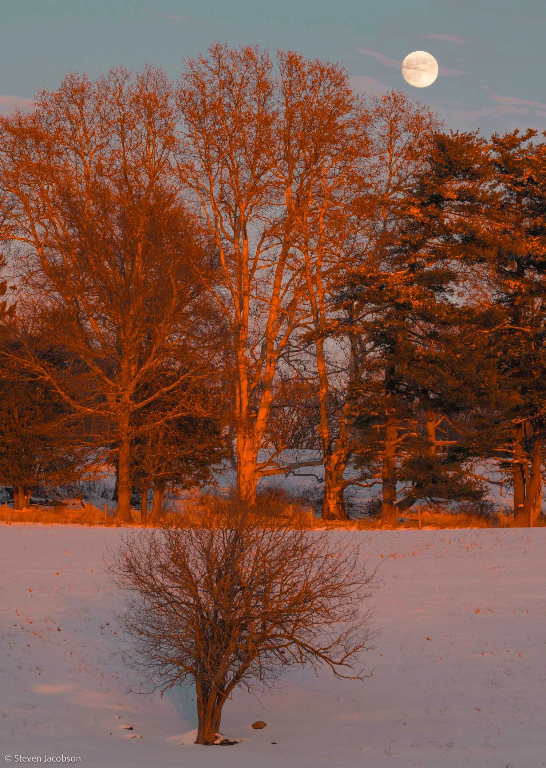Winter Moonrise