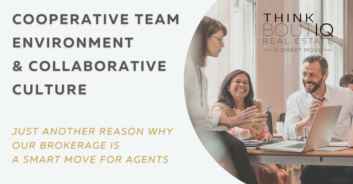 Cooperative team environment &amp; collaborative culture
