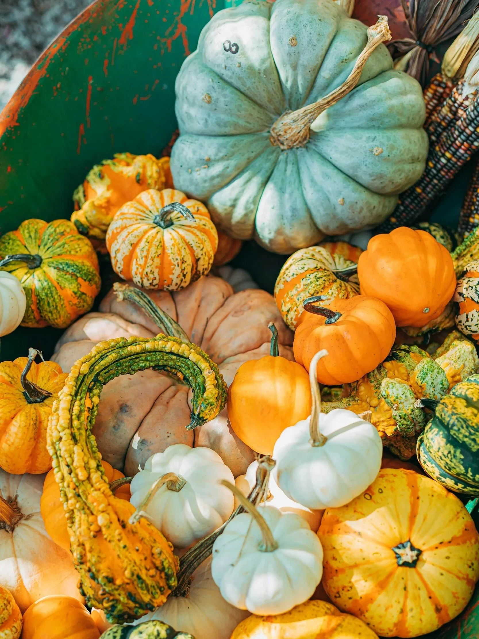 5 Marketing Tweaks to Freshen Up Your Fall Pipeline