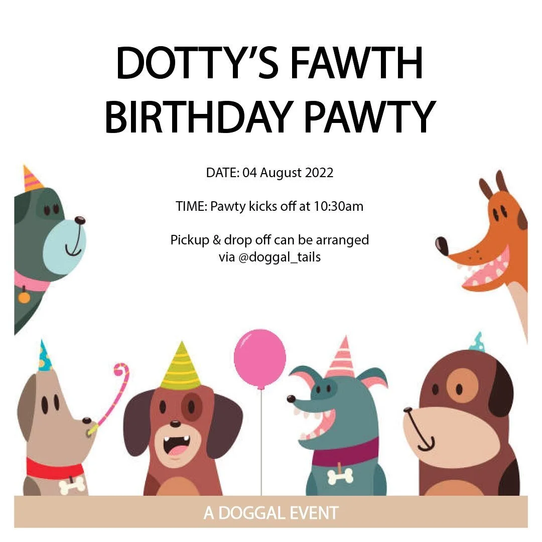 Happy Birthday Dotty! 
.
.
.
.
#doggal #melbourne #melbournedogs #melbournedogwalker #dogs #dogsofinstagram #dogstagram #socialisation #dogwalking #dogwalker #doglover #doggalfamily #dogsbirthday #happybirthday
