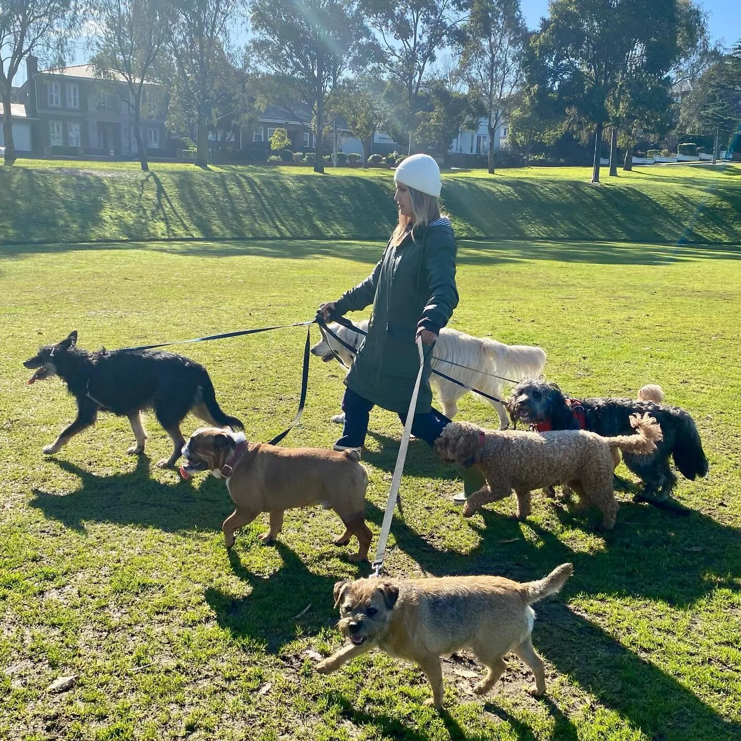 FRIYAY! 
.
.
.
.
#doggal #melbourne #melbournedogs #melbournedogwalker #dogs #dogsofinstagram #dogstagram #socialisation #dogwalking #dogwalker #doglover #doggalfamily #kelpiex #britishbulldog #borderterrier #cavoodle #goldenretriever #bordoodle