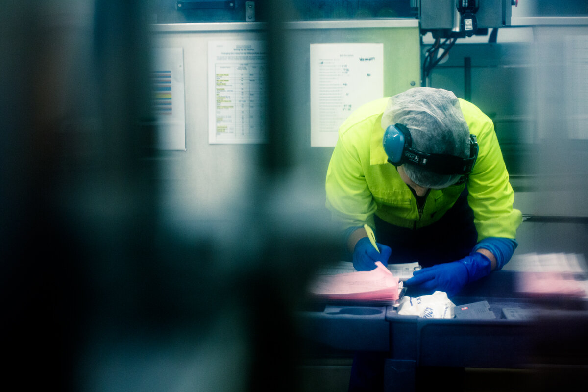 Glass line_11 BoG.jpg