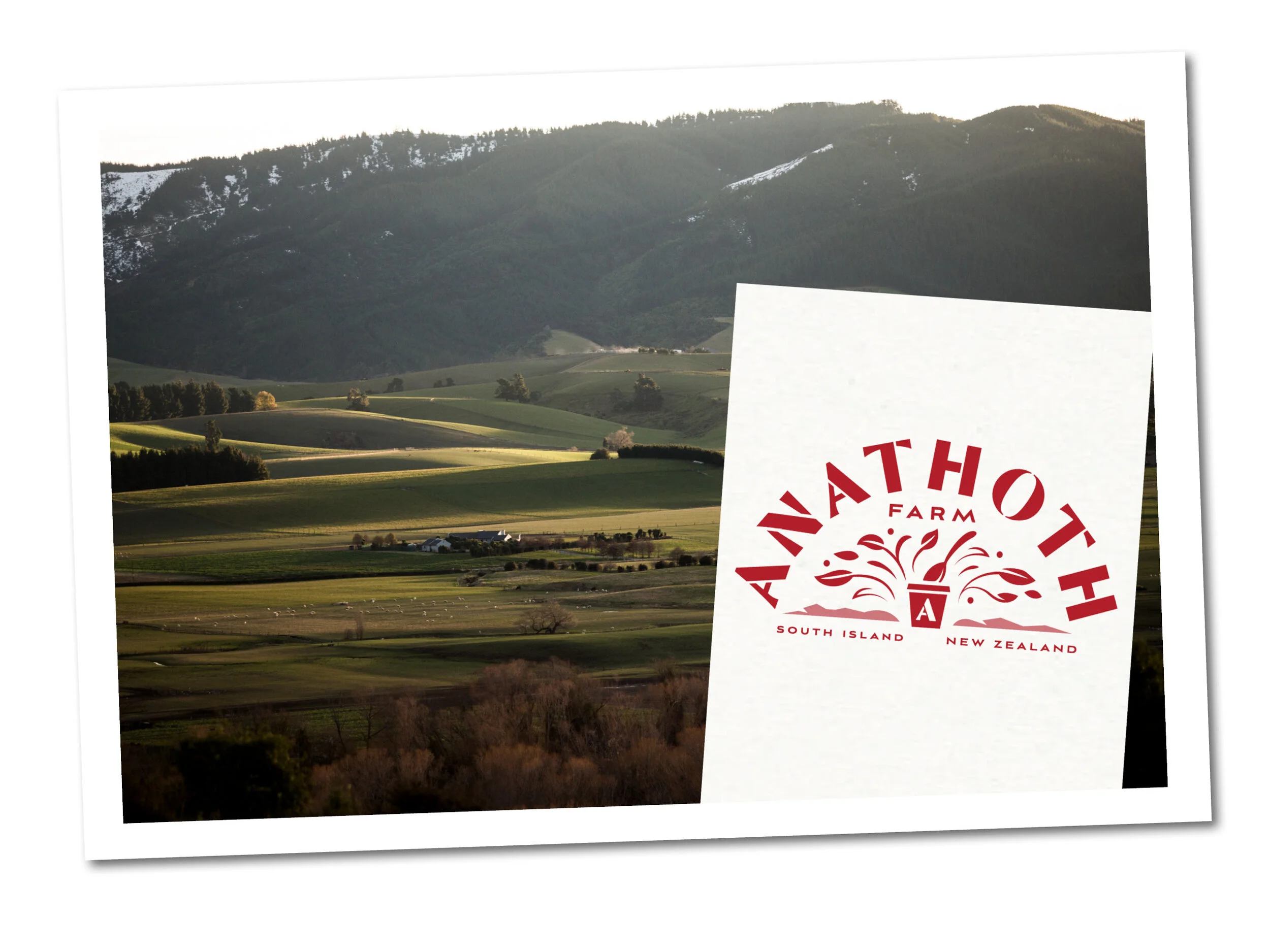 Anathoth Farm Dropshadow.jpg