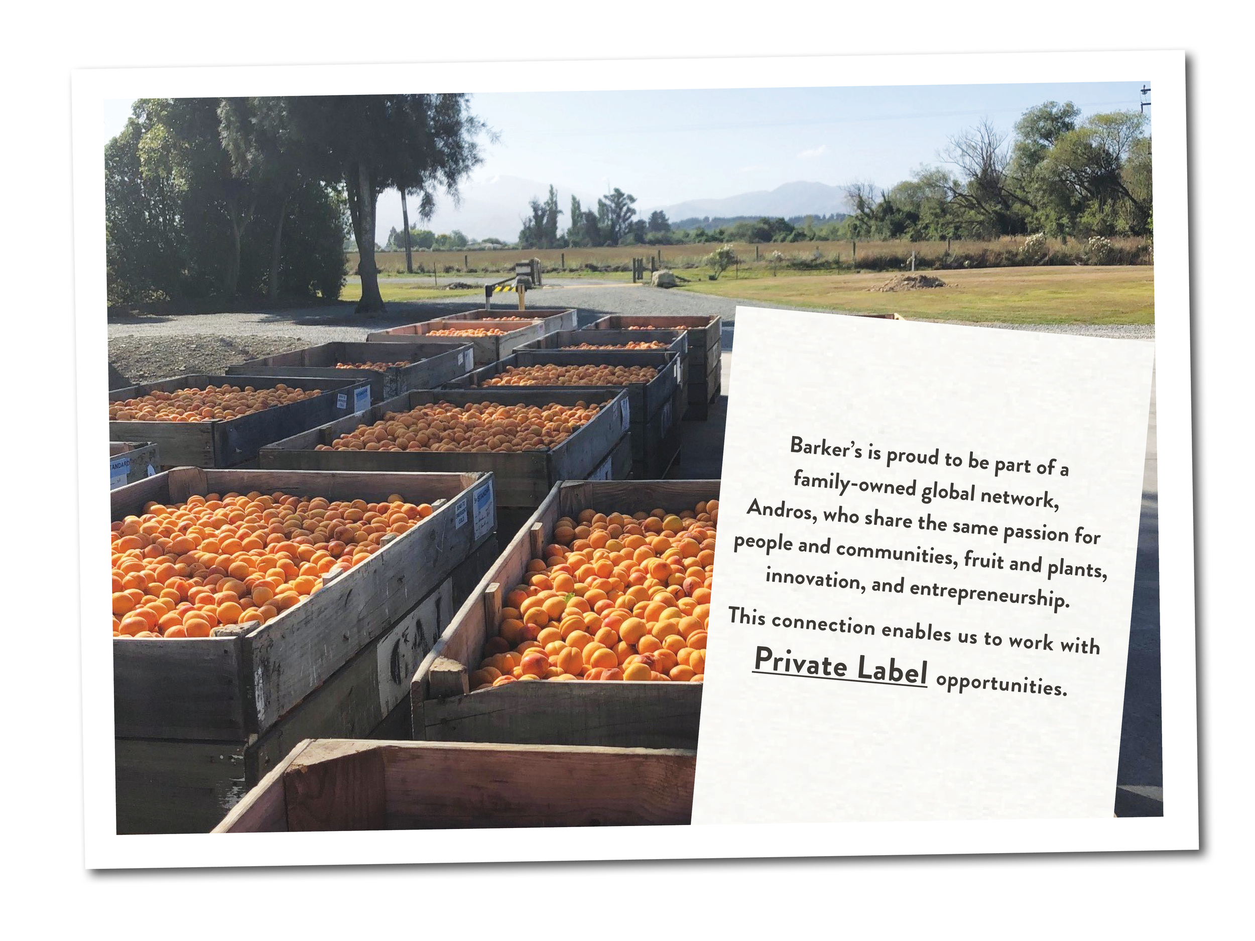 Corp Website - Update (Life At Barker's) .png