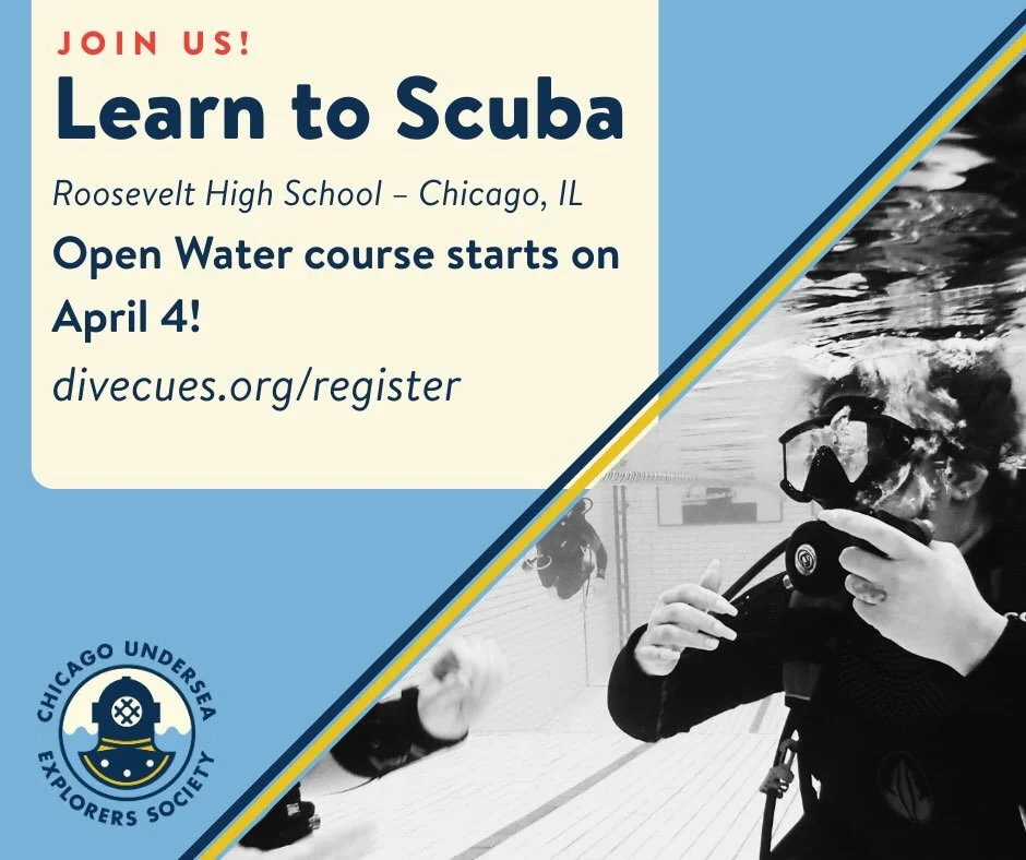 Happy Training Tuesday! We just added an Open Water Scuba Course to the calendar starting April 4. What better way to kick off spring than to spring into scuba! For more information or to register, visit divecues.org/register