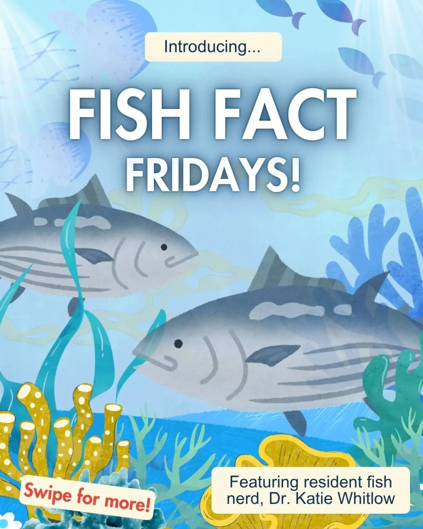 New themed post alert! Fish tales from our resident fish nerd, coming to you monthly on Fridays - featuring @kwhitlow5