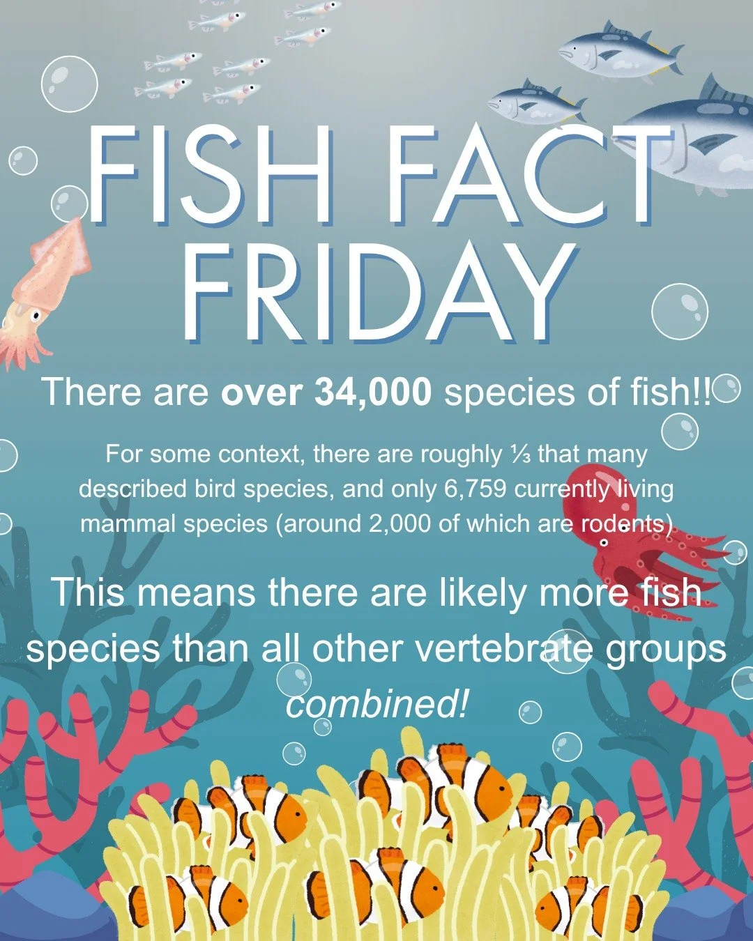 Fish fact Friday alert! There are *so many* fish species to marvel at - join us on zoom June 24 to learn about identifying some of the marine groups with us. You, too, can play "who's that fish?" 🐟🐡🦈🐠
