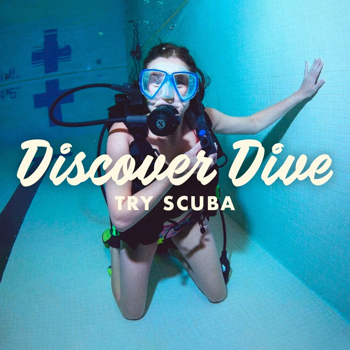 Discover Dive · December 28, 2025