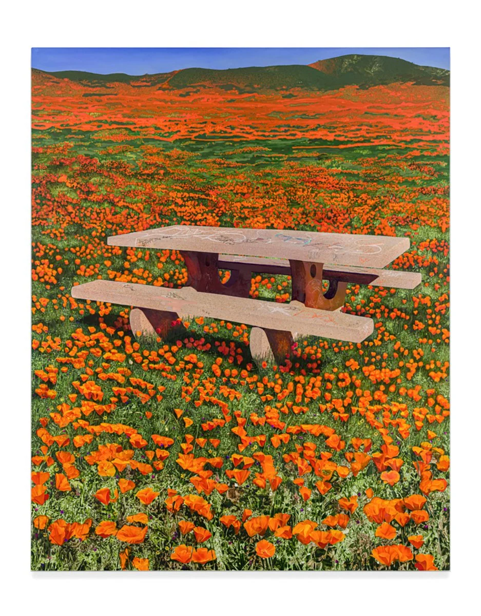 Hill_Picnic Table In Poppy Field.jpg