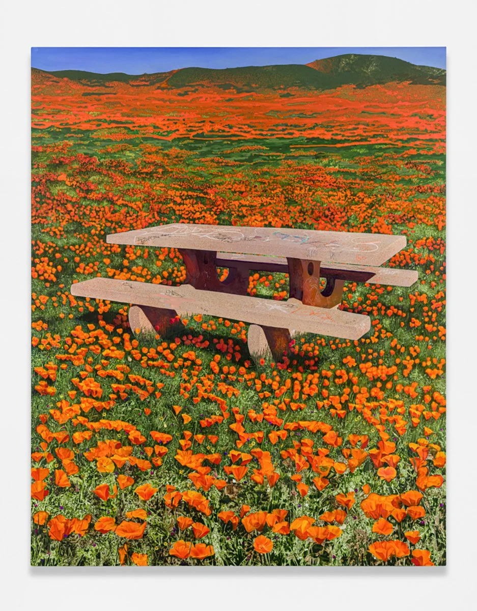 Hill_Picnic Table In Poppy Field.jpg