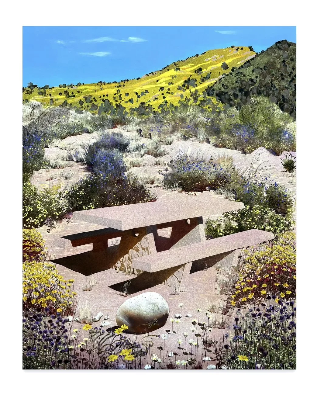 Hill_Picnic Table in Desert Super Bloom.jpg