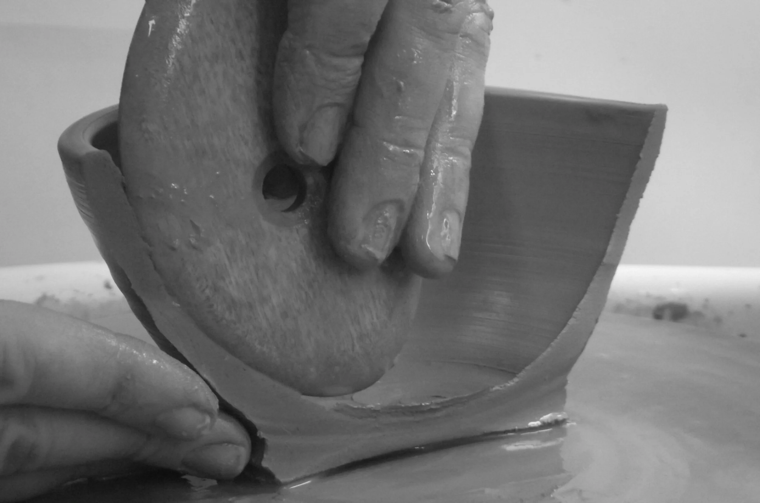 rib inside bowl.JPG