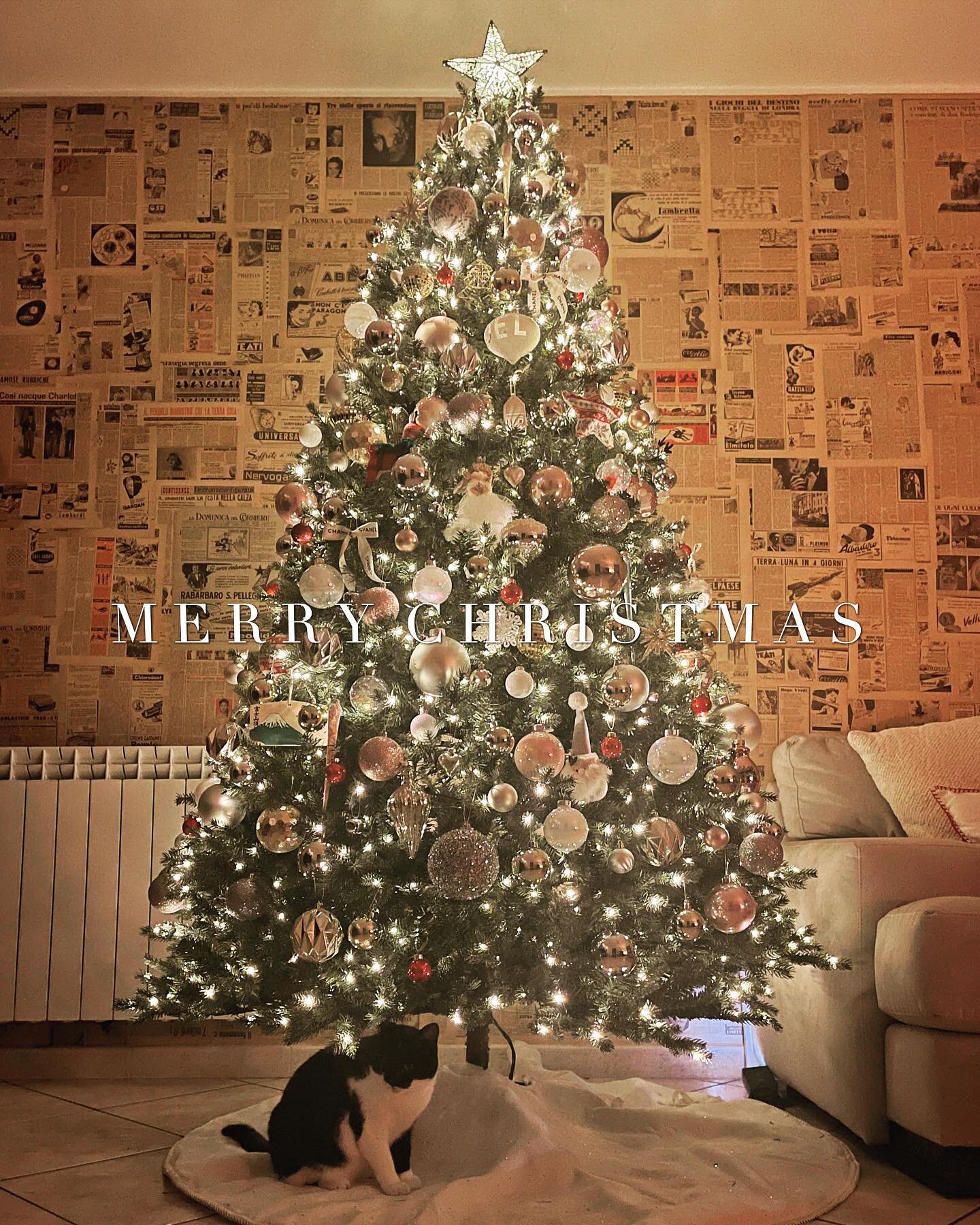 Wishing you a Merry Christmas &amp; happy, healthy holiday to you and your love ones😘
.
A little update, the new addition to our family is right there under the tree 😆
.
.
.
#merrychristmas #merrychristmas2022 #thisisus #familyof3 #lifeinsicily #si