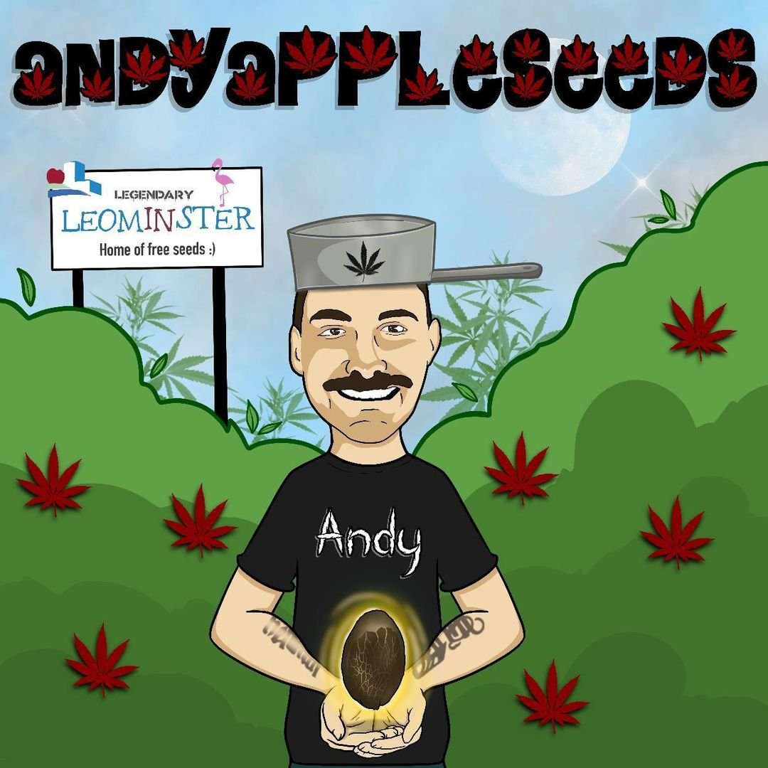 Andy Appleseeds
