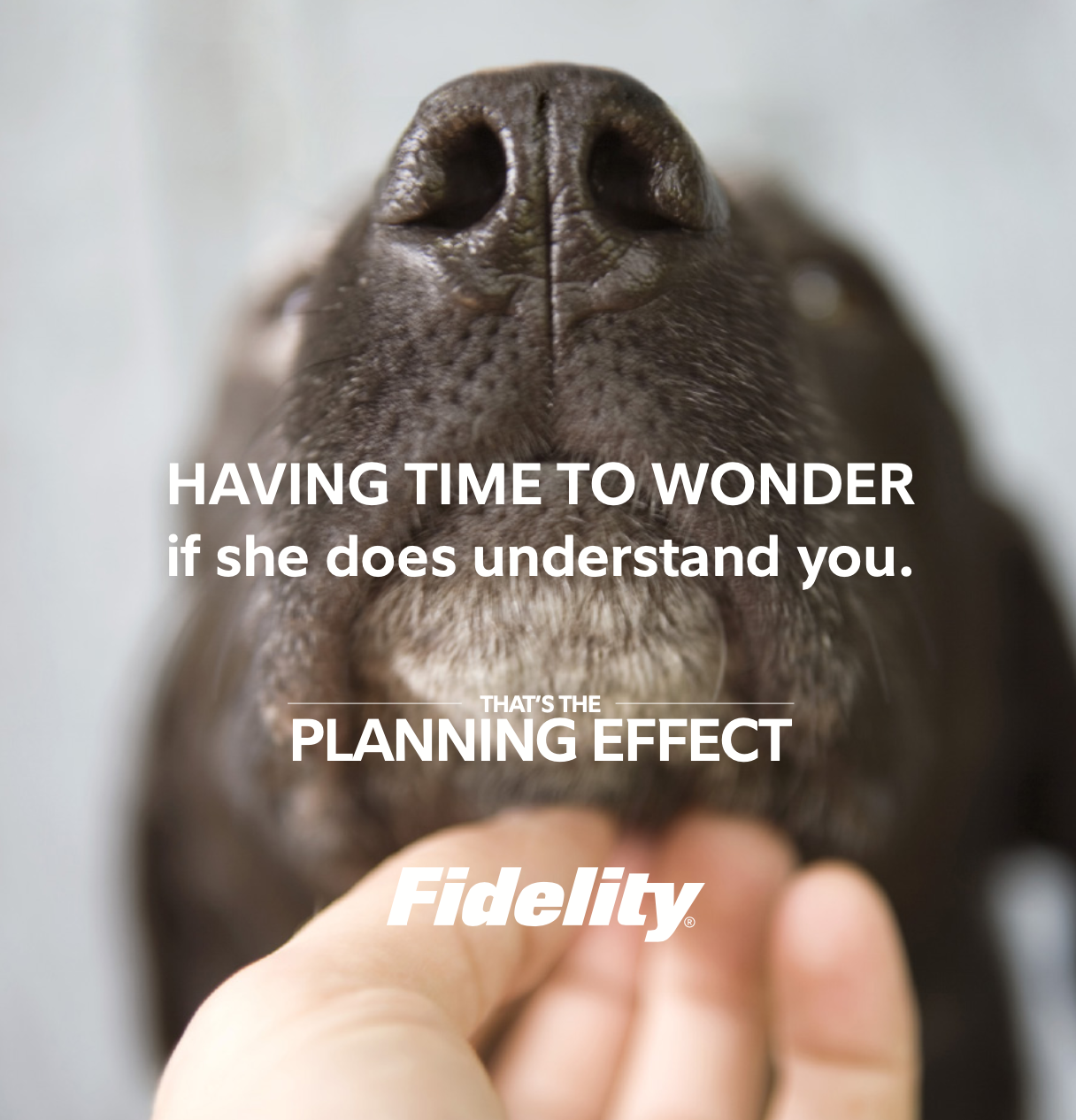 Screen Shot 2022-11-03 at 10.34.38 AM.png