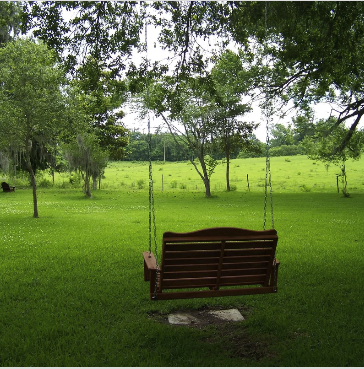 Screenshot 2024-12-13 at 2.05.42 PM.png