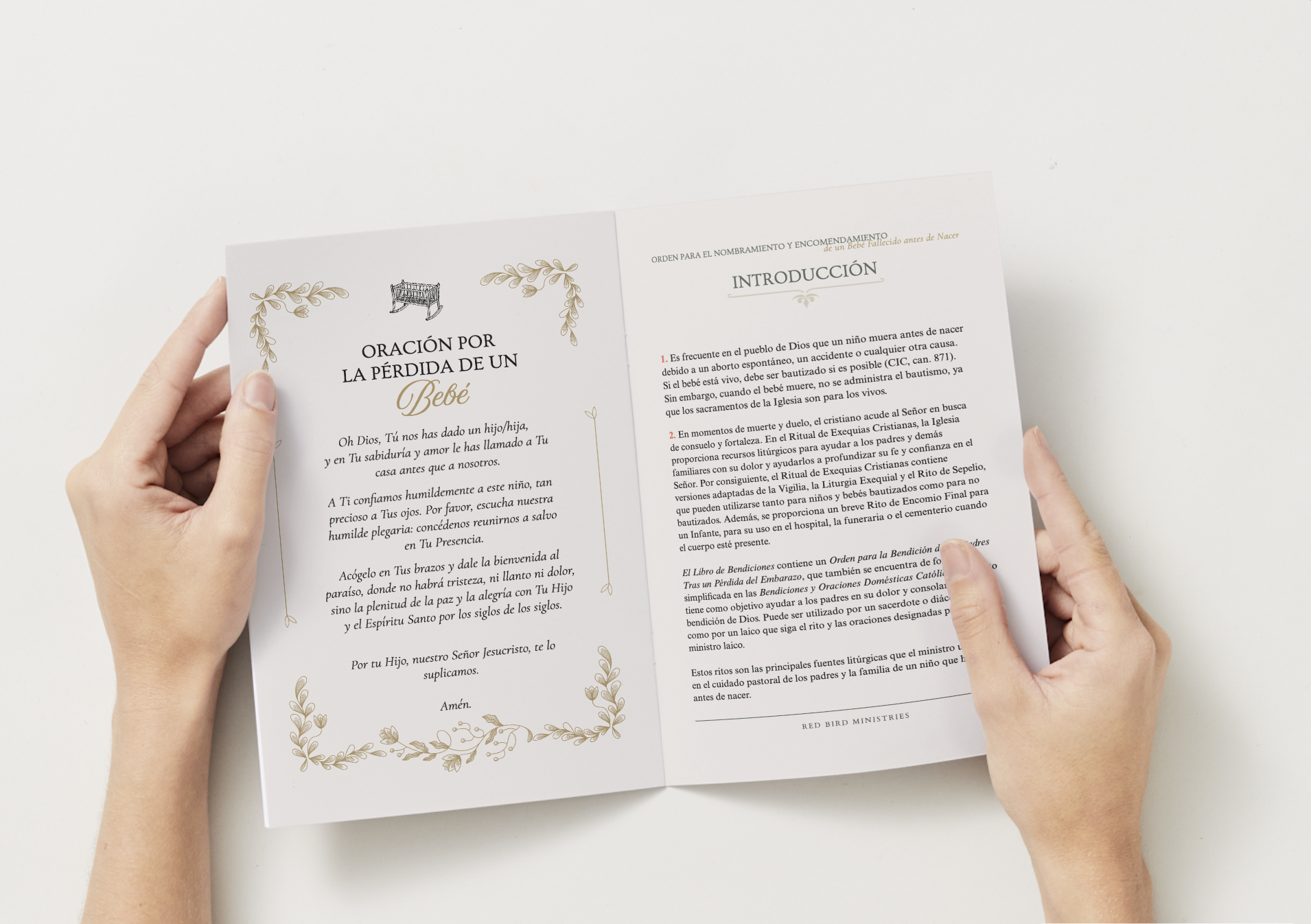 Screenshot 2026-04-21 at 12.08.47 PM.png (Copy)