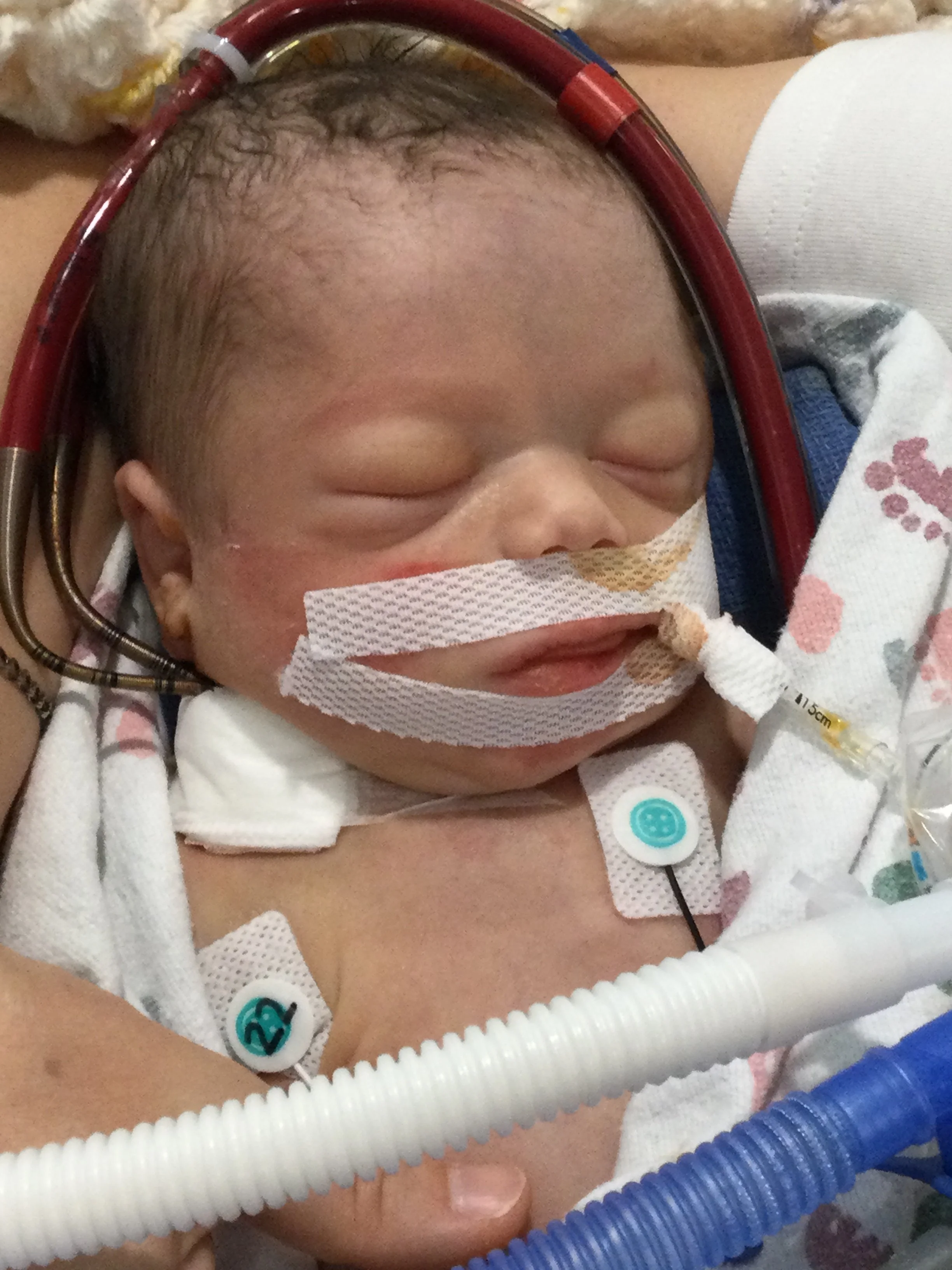 Elijah Nicholas Pascal Gruber | 03/20/2024 - 03/24/2024