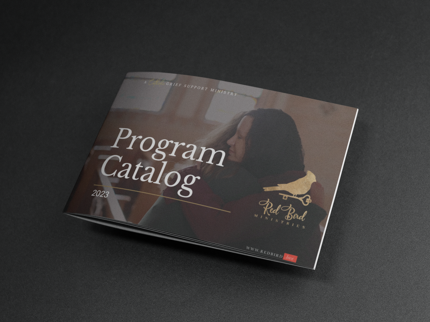 program catalog.png