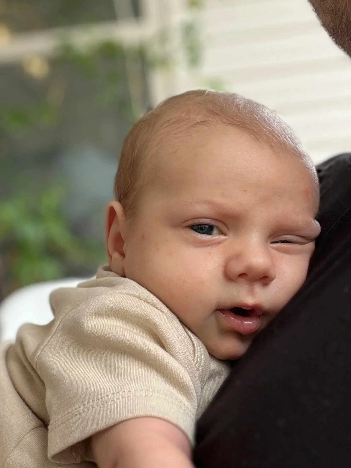 Nathan John Torregrossa | 02/21/2025 - 04/21/2025