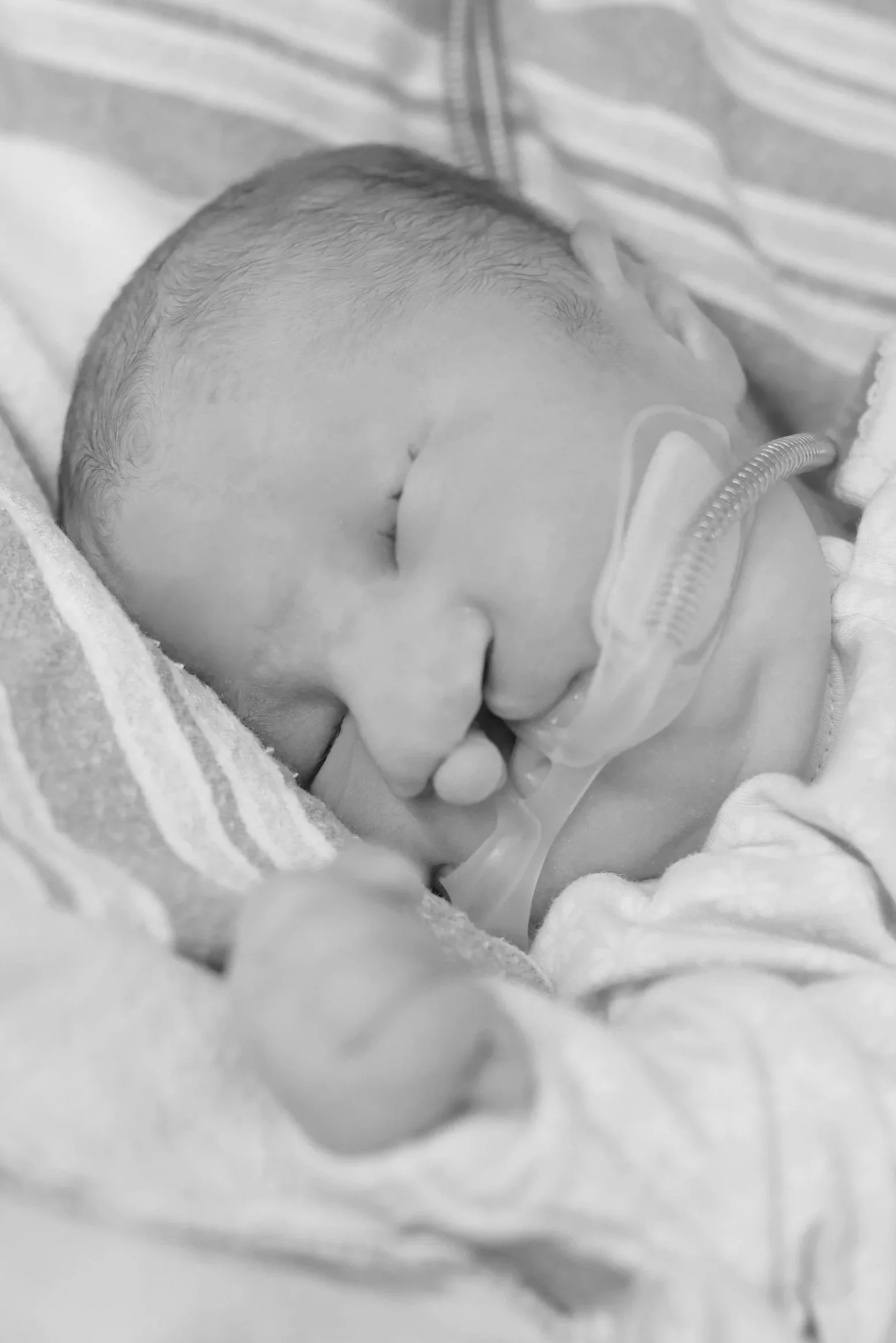 Charlotte Rose Duplechain | 4/6/2026