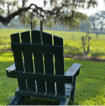 Screenshot 2024-12-13 at 2.05.29 PM.png