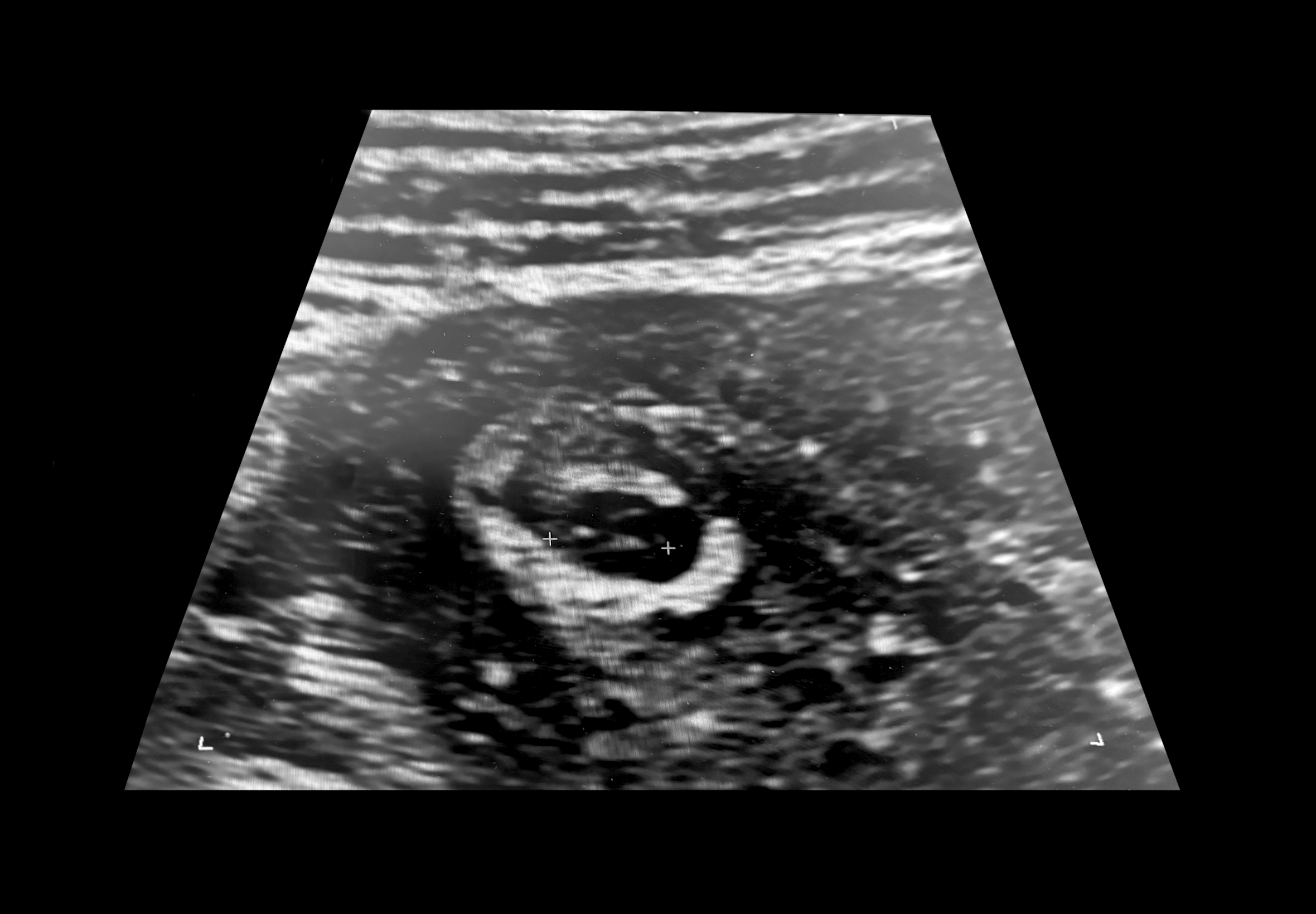 Pia Cheryl Eligon | February 1, 2026