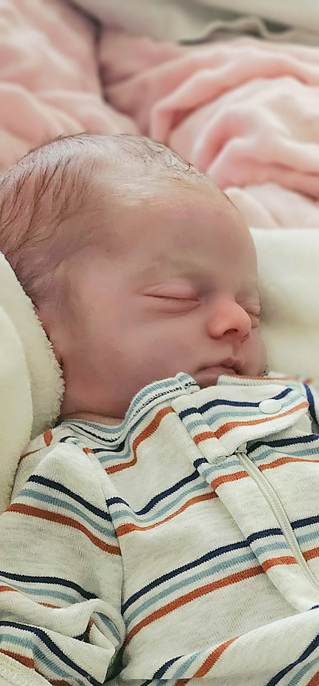 Henry Fulton Werner | 11/8/2025 -11/8/2025