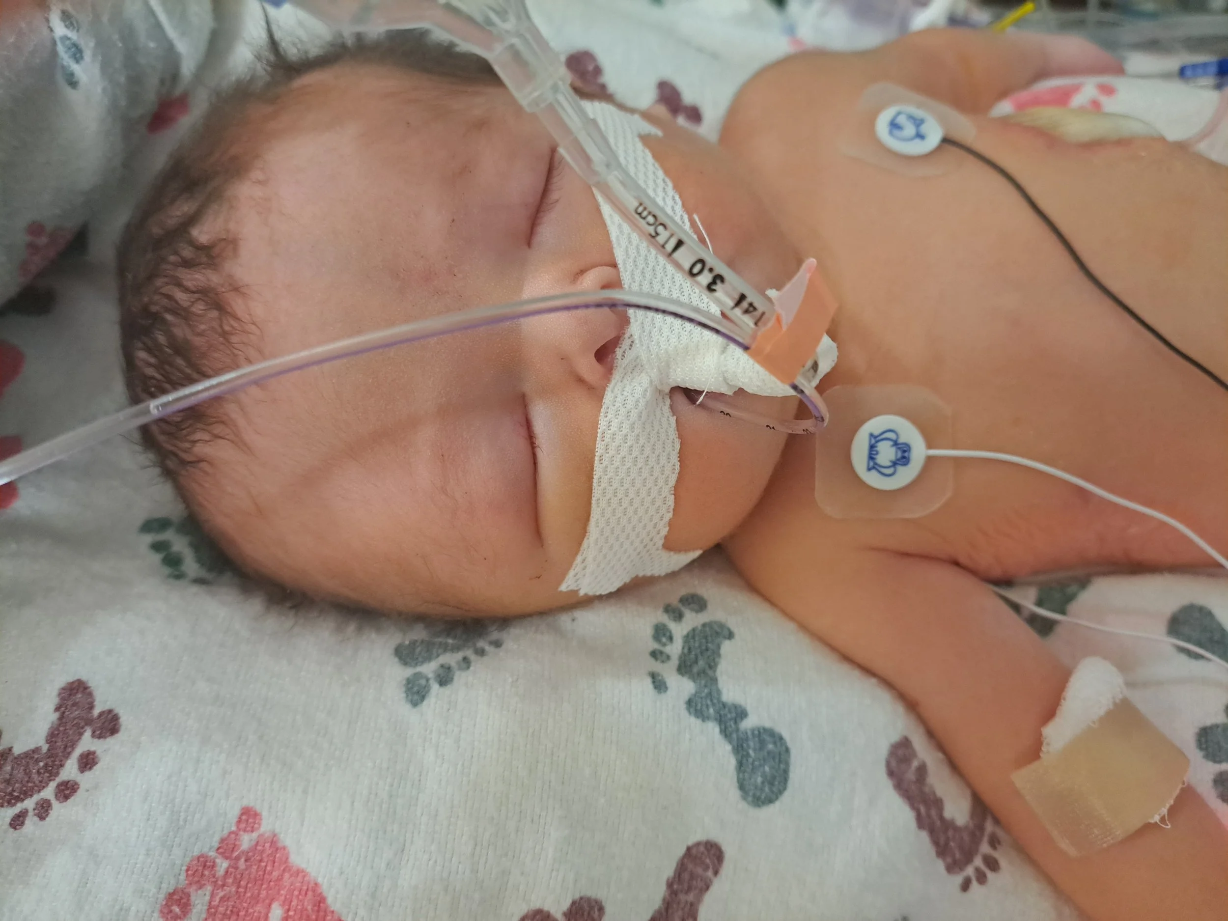 Ares Jaime Christian Sandoval | 12-18-2025 - 12-21-2025