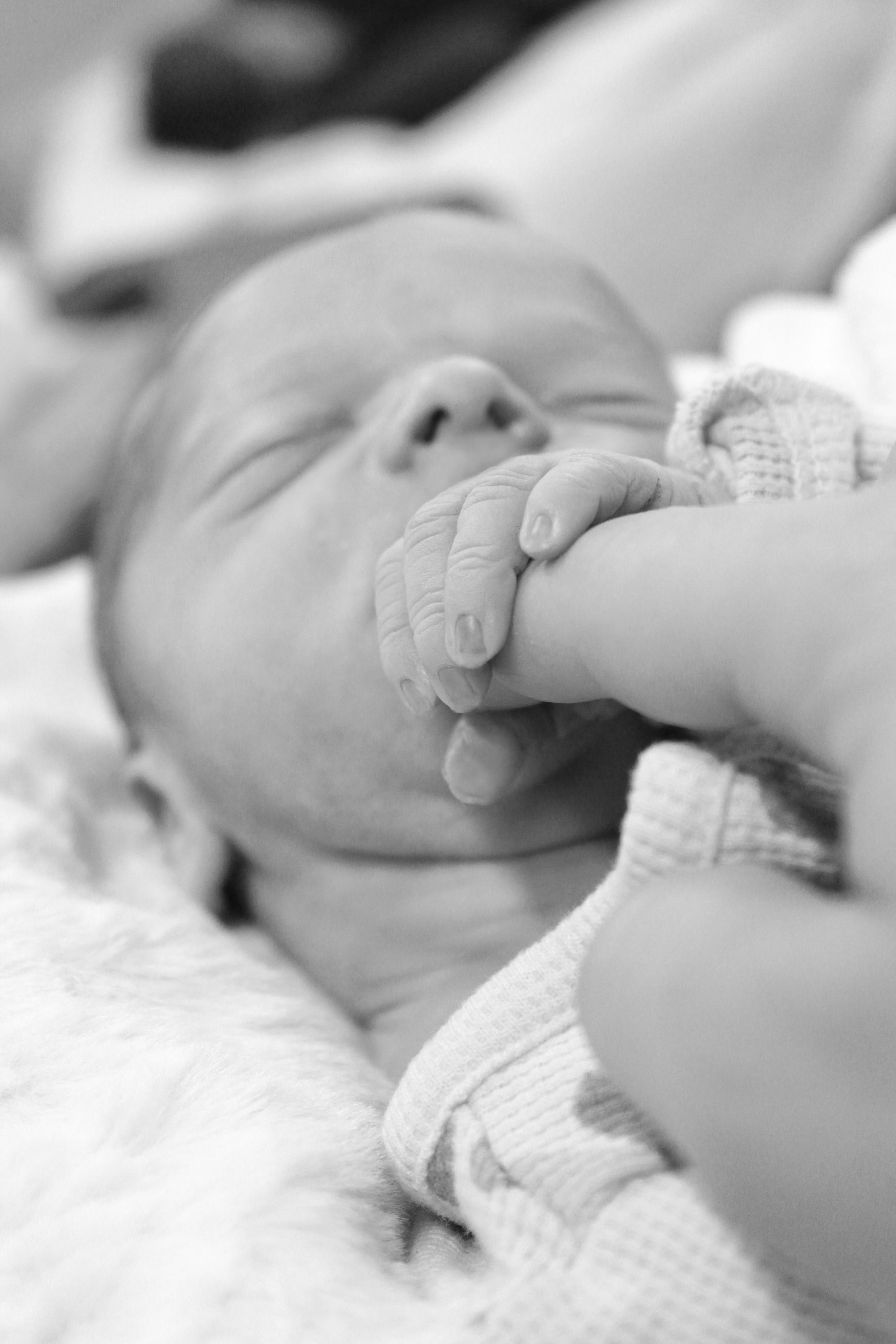 Henry Fulton Werner | 11/8/2025 - 11/8/2025