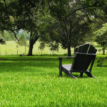 Screenshot 2024-12-13 at 2.05.10 PM.png