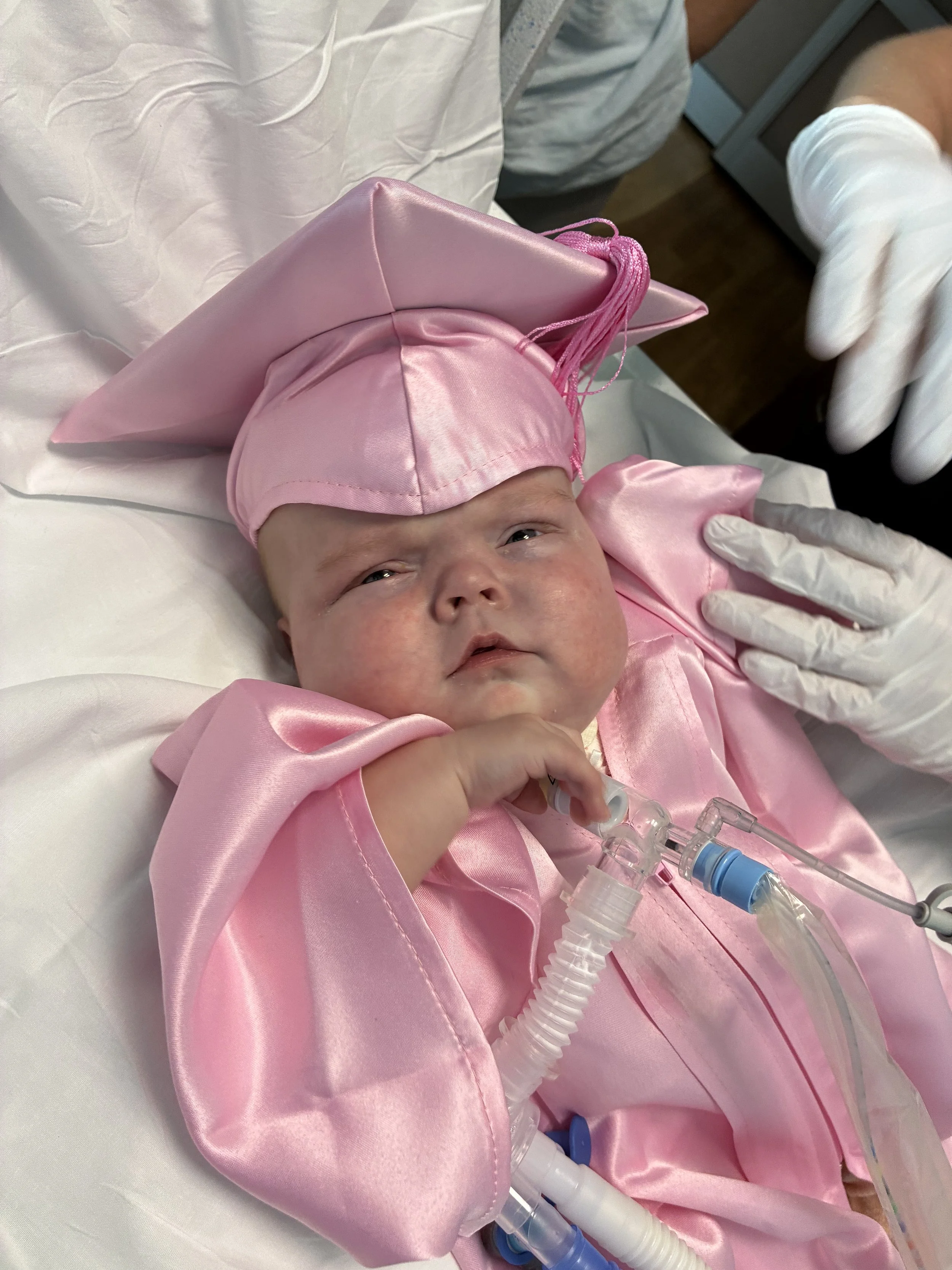 
Veronica Kathryn Hiney | 12/6/2025 - 7/13/2026