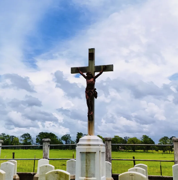 Screenshot 2024-12-13 at 2.04.29 PM.png