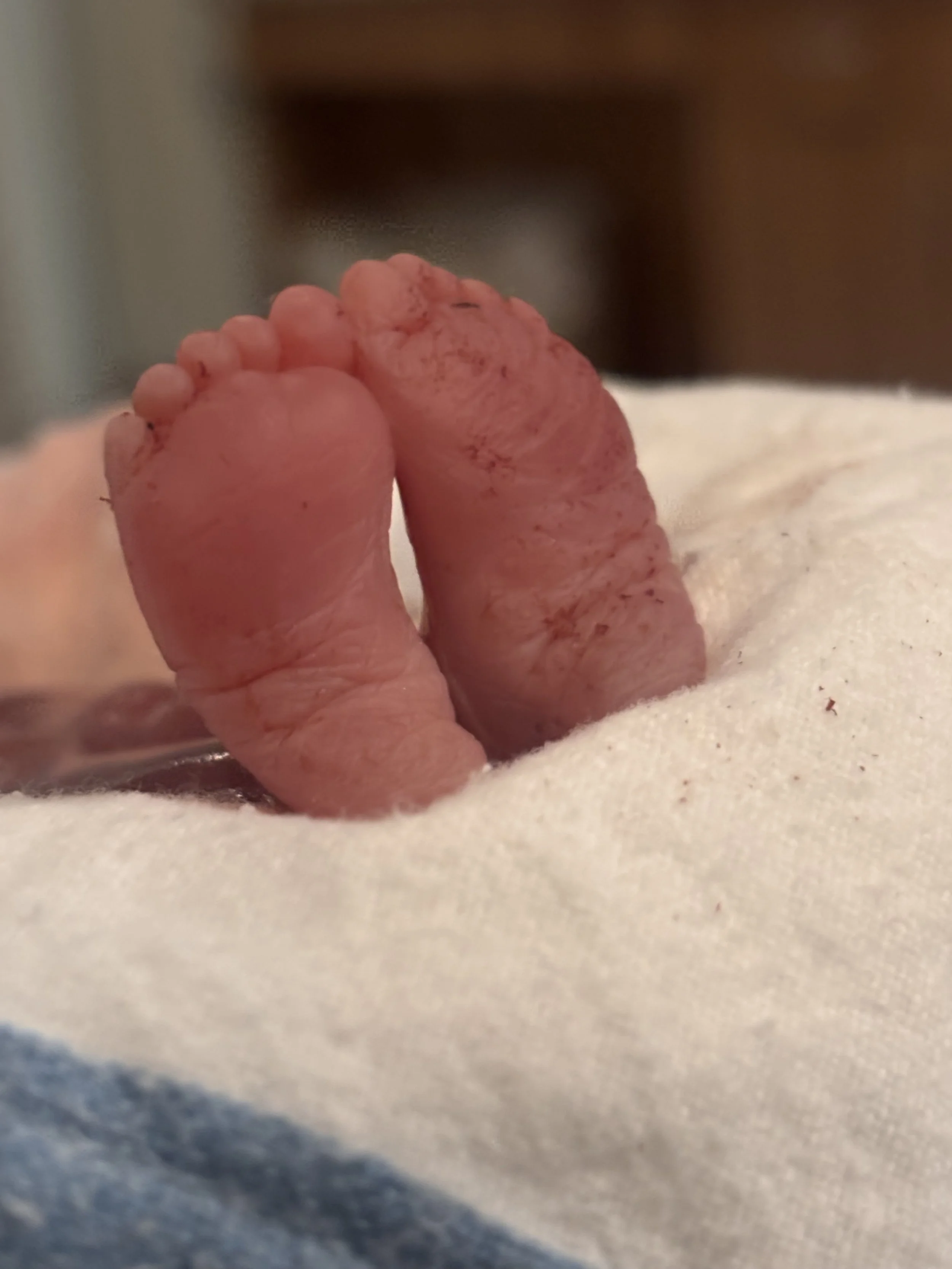Macarius 'Mac' Freeman | 4/21/2026