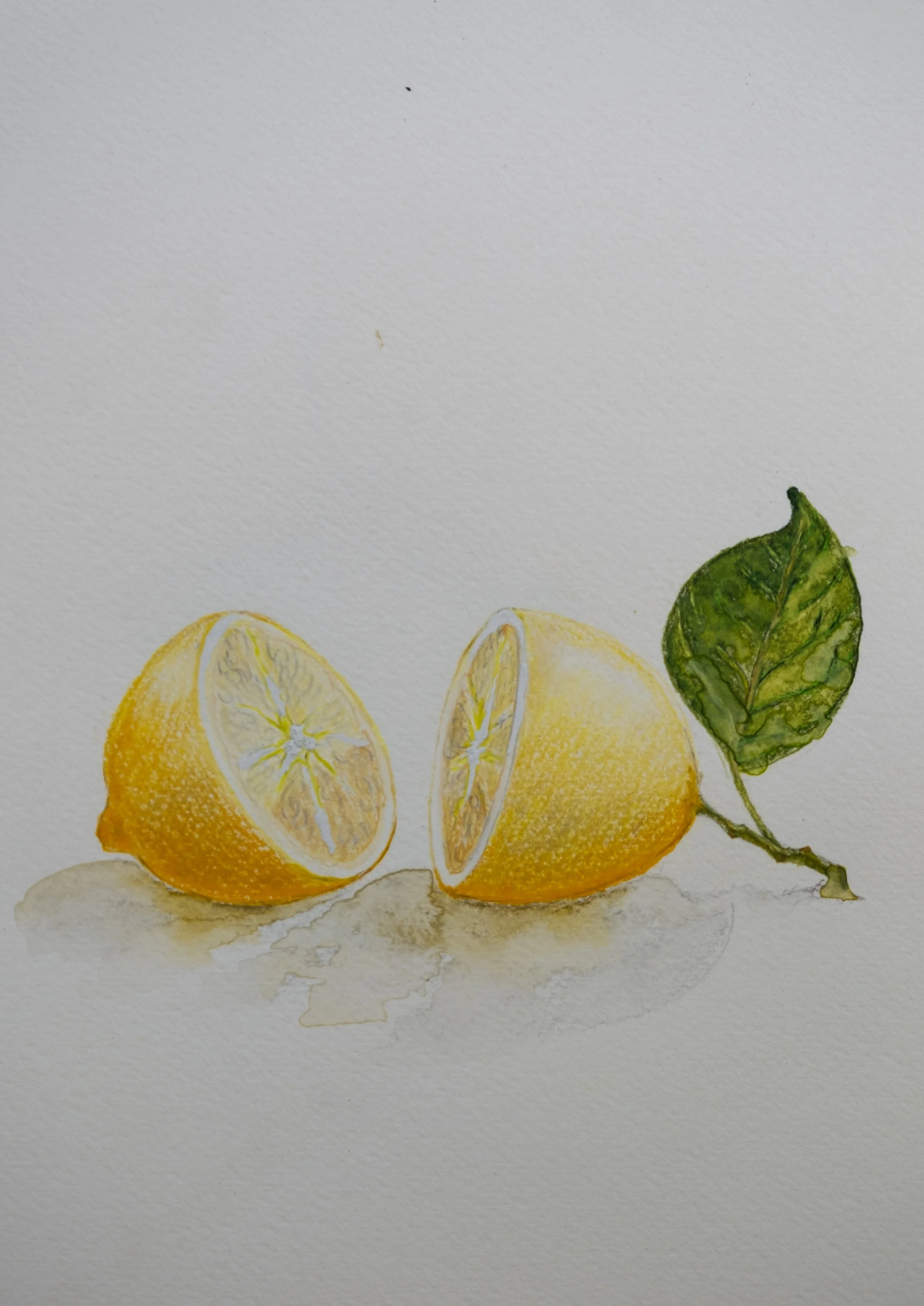 WaterColours_LucyT_High-3.jpg (Copy)