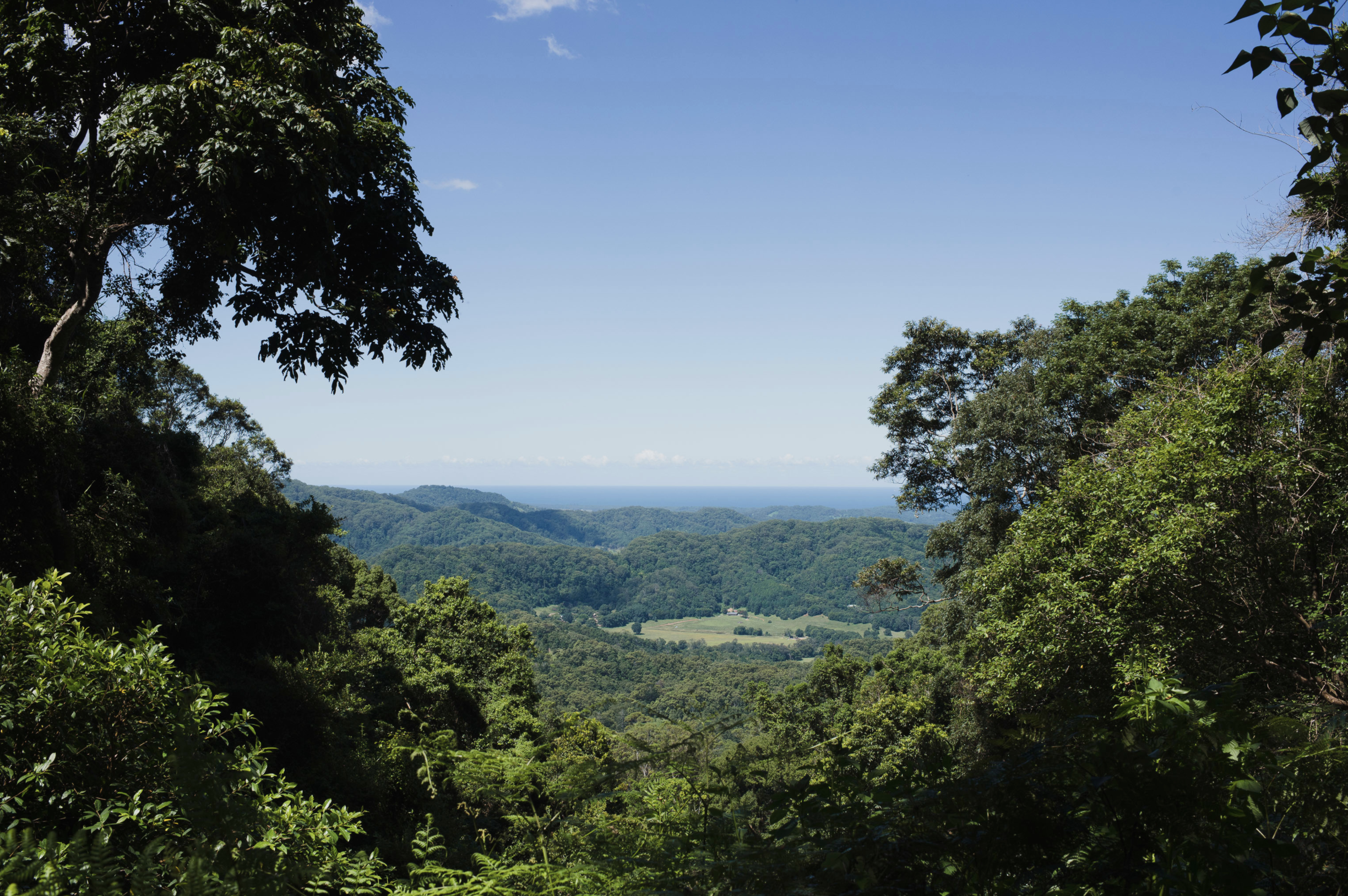 Byron Bay Hinterland Retreat
