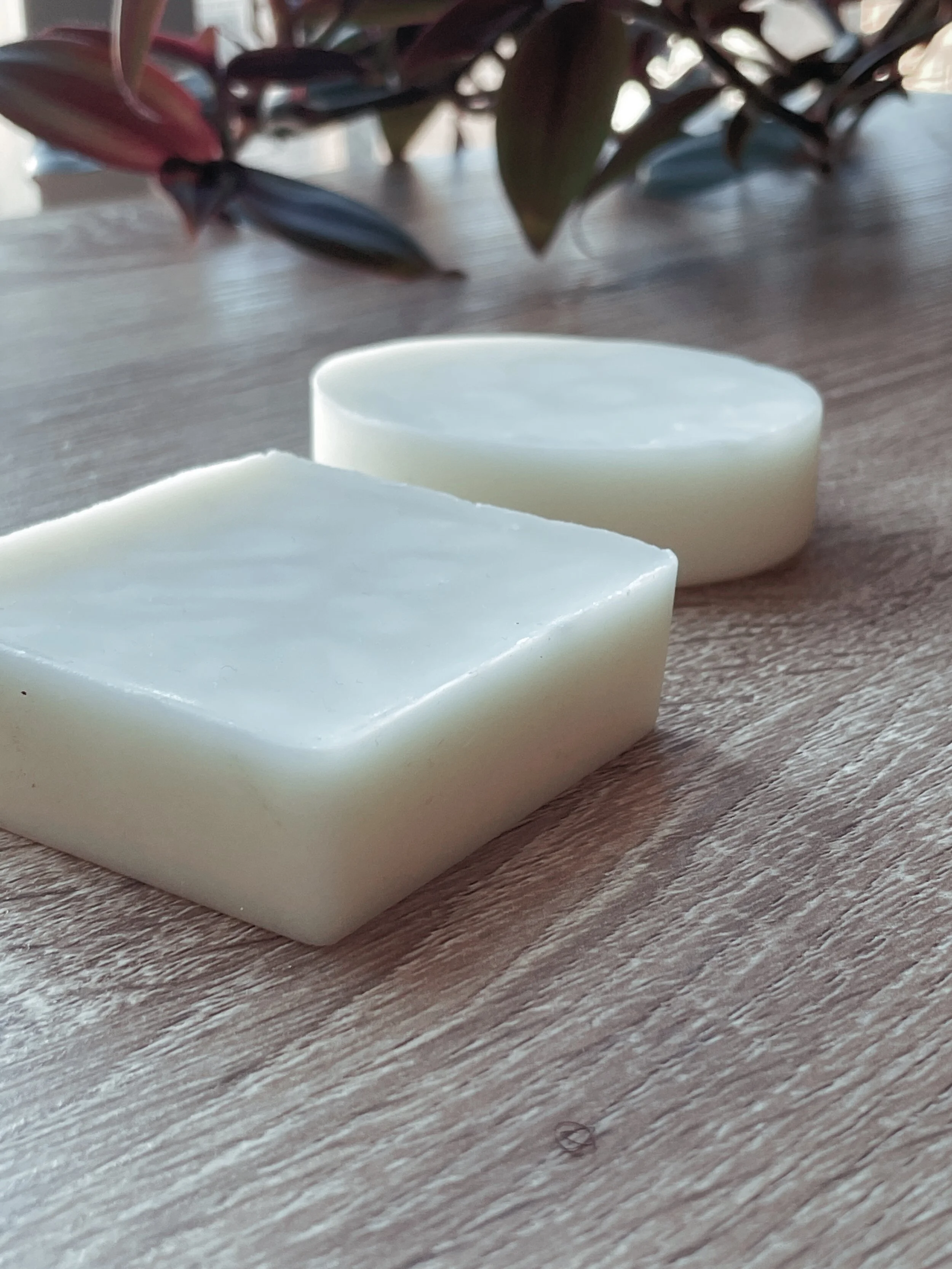 The Coconut Deluxe Lotion Bar