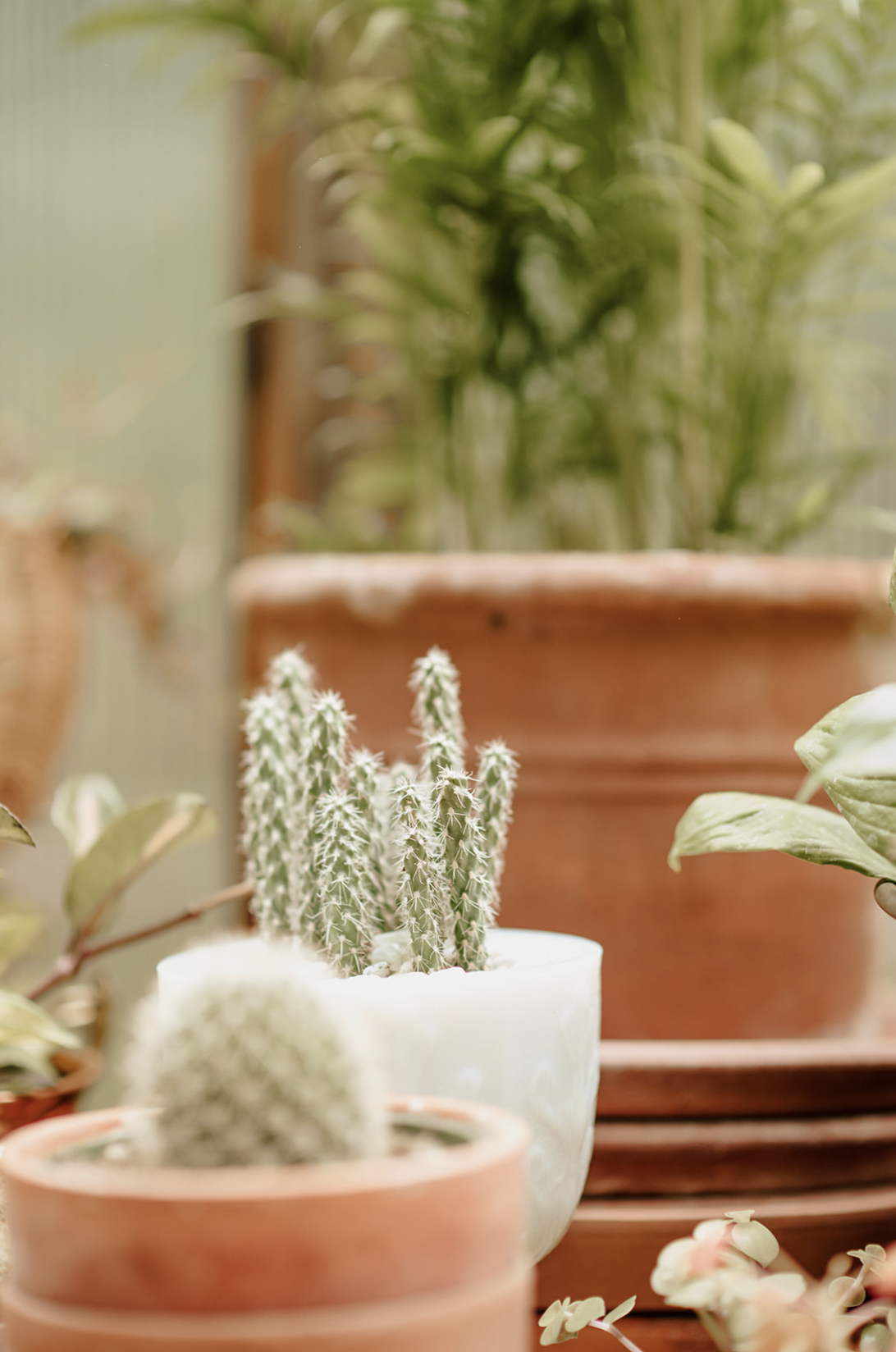 Screenshot 2023-09-25 at 11.26.14 AM.PNG