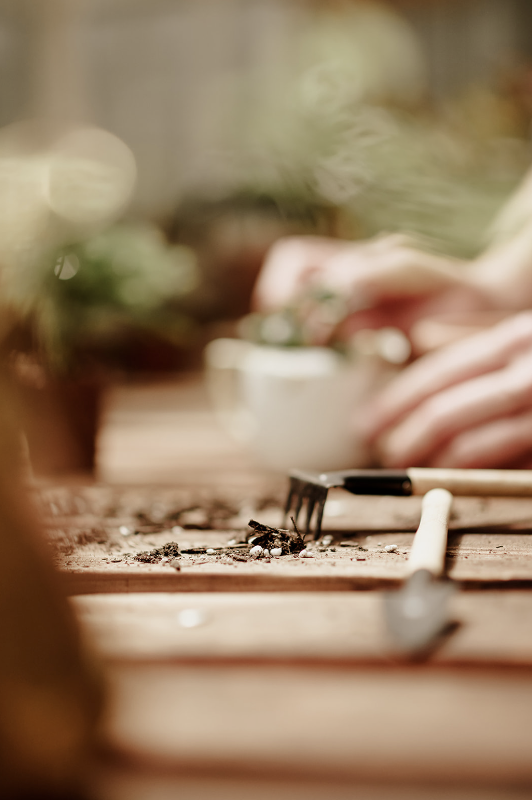 Screenshot 2023-09-25 at 11.29.00 AM.PNG