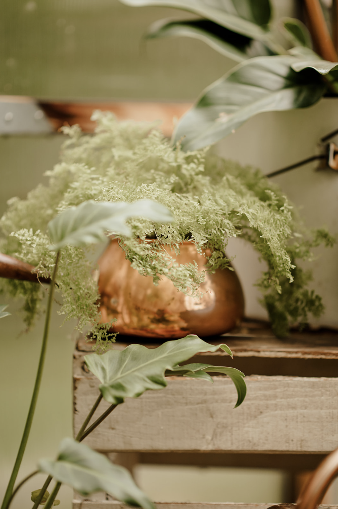 Screenshot 2023-09-25 at 11.28.15 AM.PNG