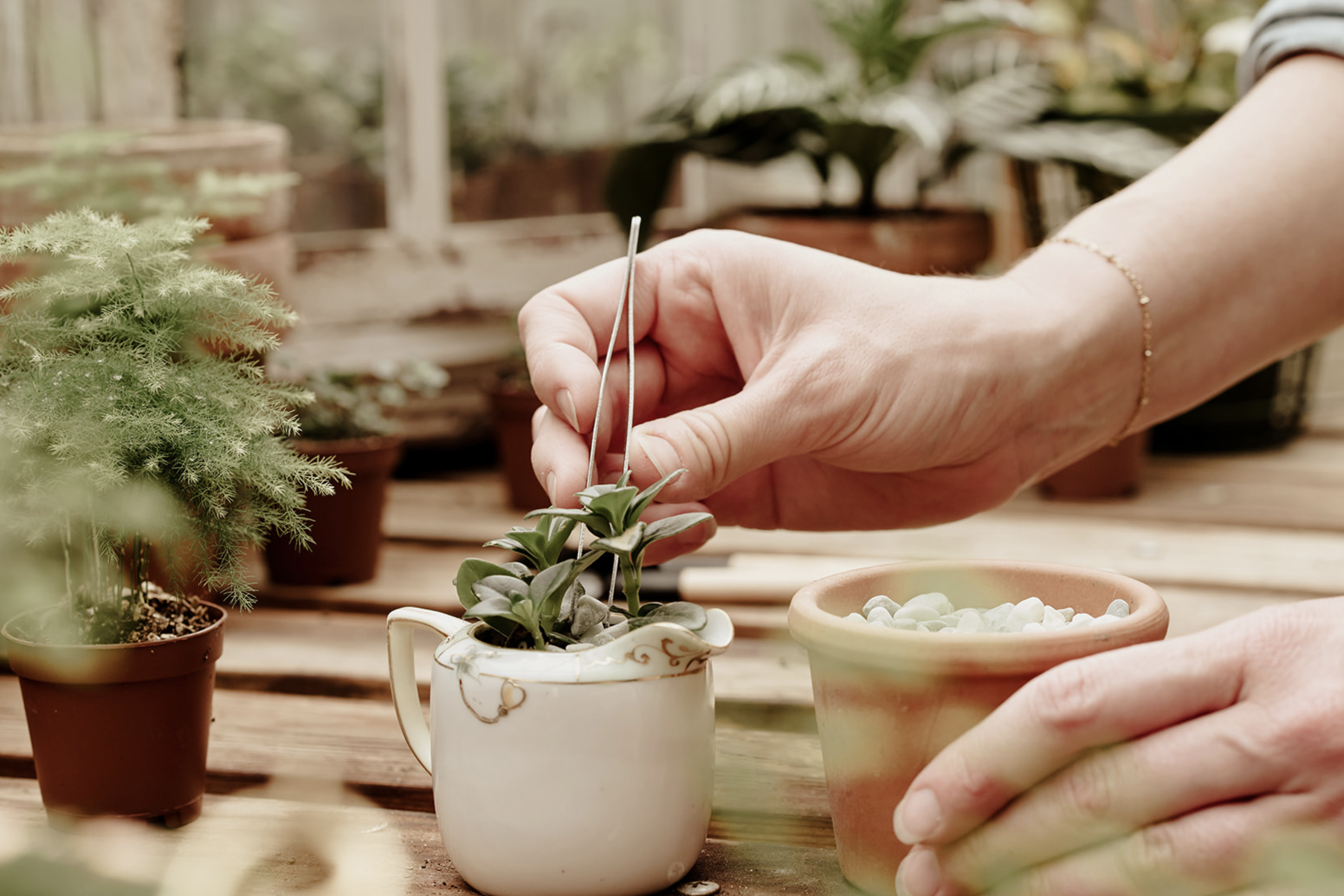 Screenshot 2023-09-25 at 11.28.40 AM.PNG