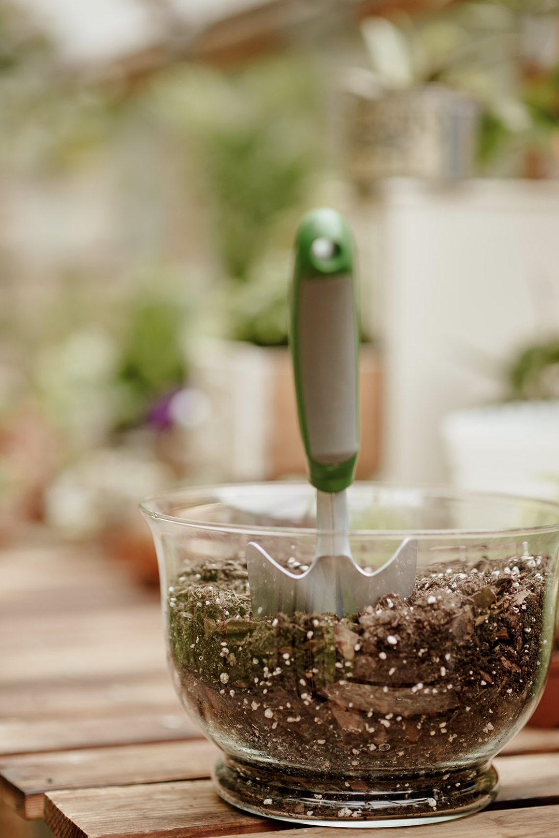 Screenshot 2023-09-25 at 11.25.51 AM.PNG